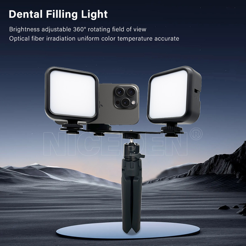 Torcia portatile Niceden per f - Photography Lighting Equipment recensione e prezzo