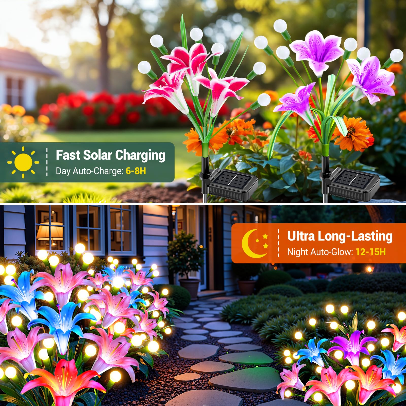 Confezione da 2/4 Luci Solari  - Flower Photography Led Lighting Pack recensione e prezzo