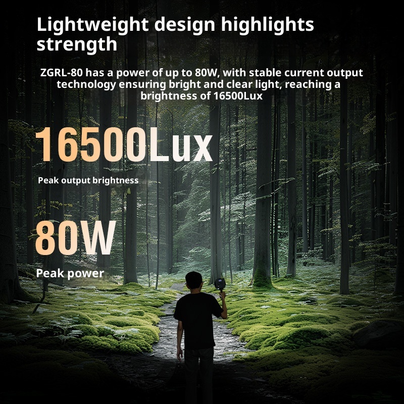 ZGRL80 80W COB LED Video Light - Photography Lighting For Outdoors recensione e prezzo