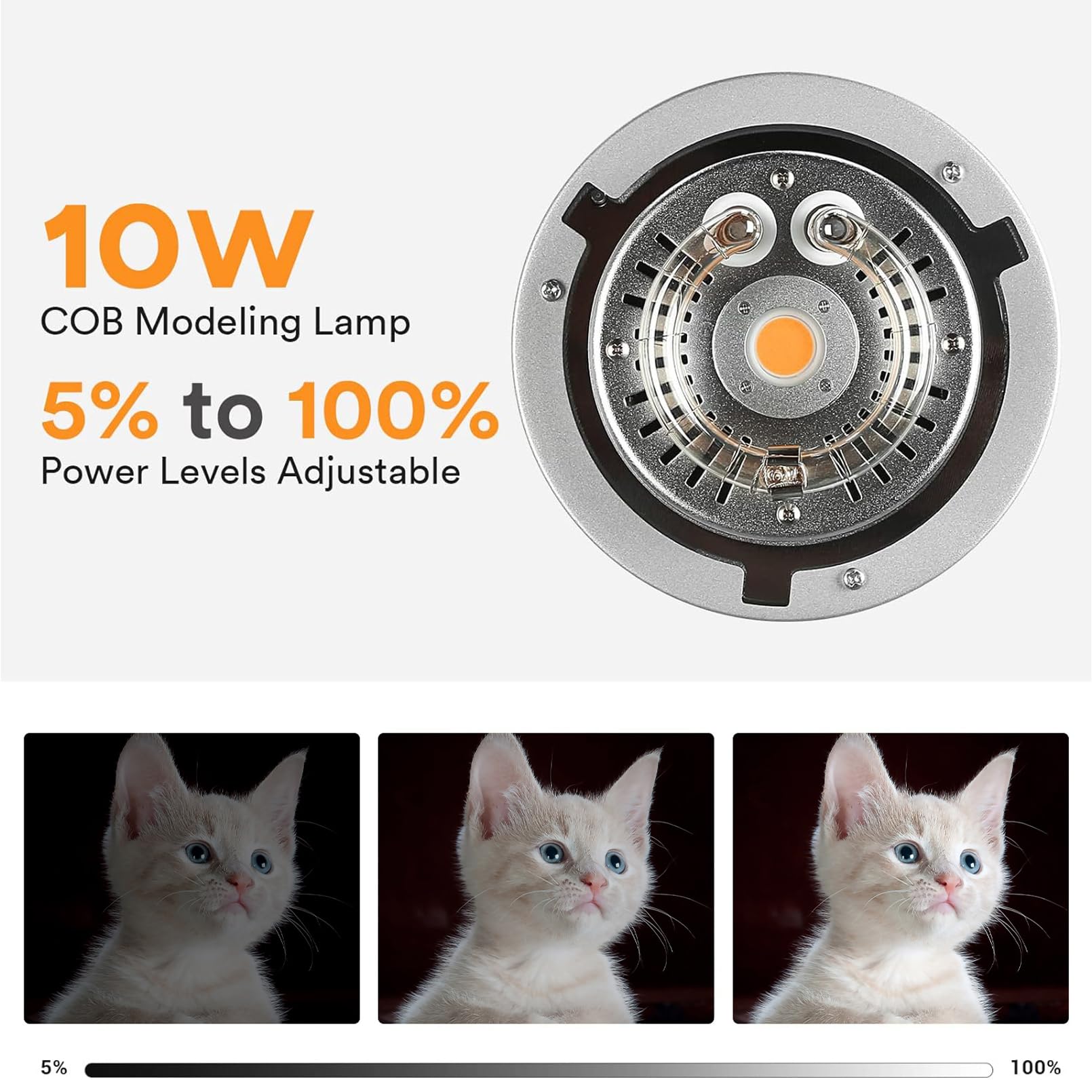 Godox MS200V Studio Strobe Fla - Photography Lighting For Portraits recensione e prezzo