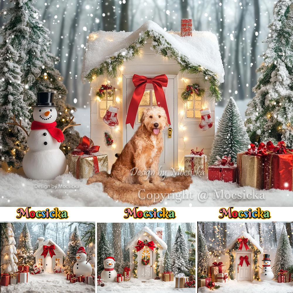 Mocsicka Bianco Casa di Natale - Photography Lighting White Background recensione e prezzo
